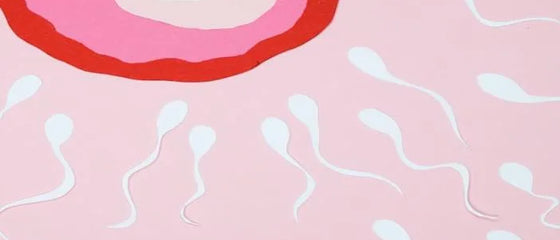 Can Red Light Therapy Improve Egg Quality and Female Reproductive Health