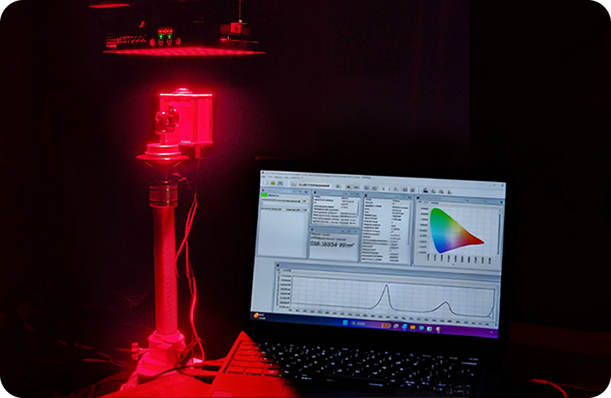 Founder and Engineer