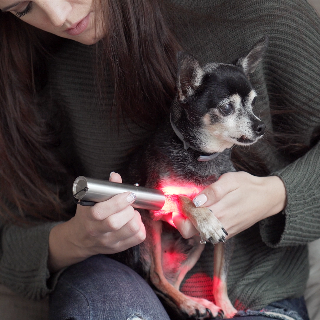 red light therapy wand for pets