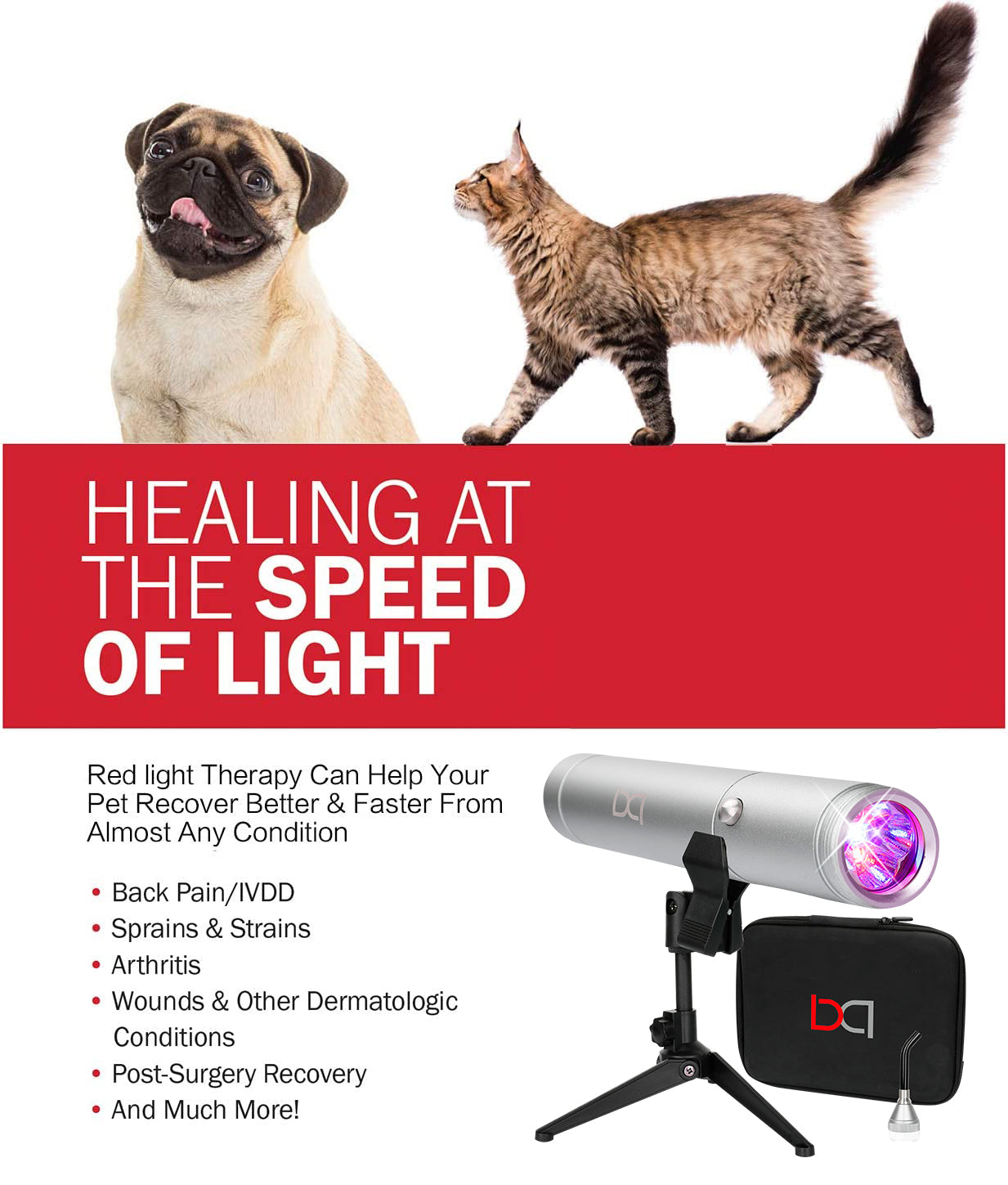 cat red light devices